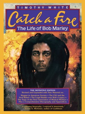 cover image of Catch a Fire